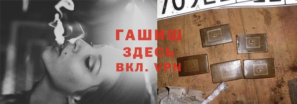гашик Алексеевка