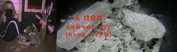 гашик Алексеевка