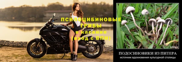 гашик Алексеевка